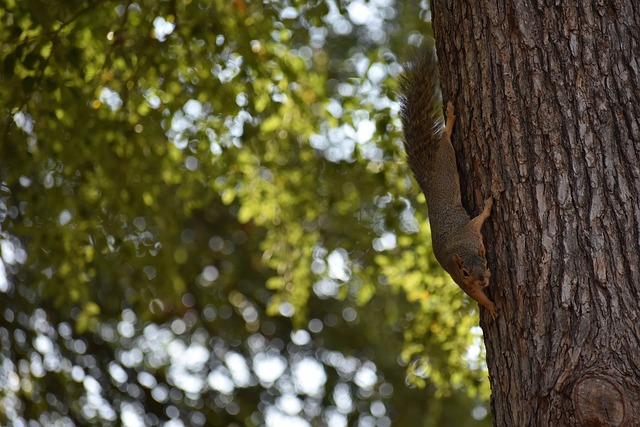 NG28模拟器:恩纳-瓦伦西亚绝杀进球被吹,厄瓜多尔全队表示不满.